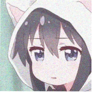 网友B